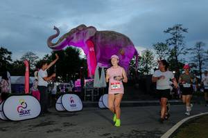 BIB: 
                            <button type="button" onclick="openModal(26529629)" class="btn btn-primary btn-sm float-right btn-popup" data-toggle="modal" data-target=".modal-high-quality">
                        <i class="fas fa-shopping-cart"></i> Add to Cart
                    </button>
                                            <button type="button" onclick="isThisMe(26529629, true)" class="btn btn-success btn-sm float-right btn-popup btn-isme hidden" data-toggle="tooltip" data-placement="bottom" title="นี่คือรูปของคุณใช่ไหม คลิกที่นี่เพื่อเอาเข้าอัลบั้ม">
                        <i class="fas fa-plus"></i> Add to album
                    </button>
                    <button type="button" onclick="isThisMe(26529629, false)" class="btn btn-warning btn-sm float-right btn-popup btn-isnotme hidden">
                        <i class="fas fa-ban"></i> Remove from album
                    </button>